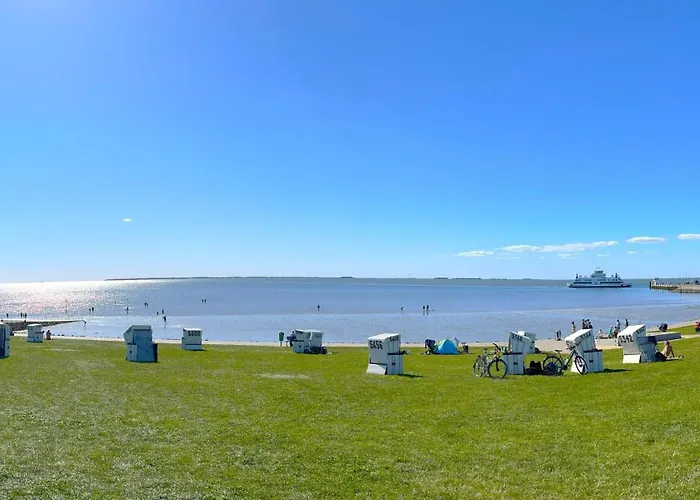 Nordseehaus Fuer Gruppen - Hell, Modern, Komfortabel *